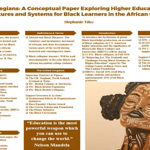 HCRN Fellows Project